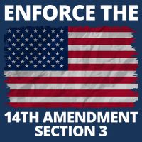 Enforce The 14th Amendment Section 3 Infant Baby Jersey Bodysuit