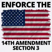 Enforce The 14th Amendment Section 3 Performance Shirt