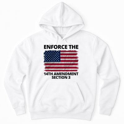 Enforce The 14th Amendment Section 3 Hoodie