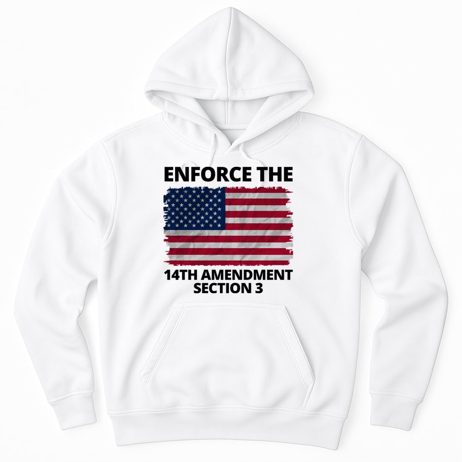 Enforce The 14th Amendment Section 3 Hoodie