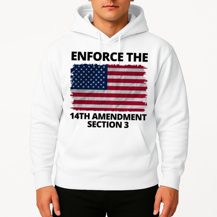 Enforce The 14th Amendment Section 3 Hoodie