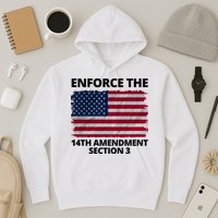 Enforce The 14th Amendment Section 3 Hoodie