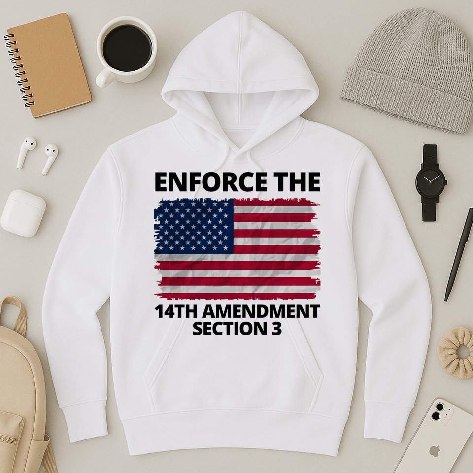 Enforce The 14th Amendment Section 3 Hoodie