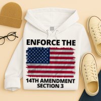 Enforce The 14th Amendment Section 3 Hoodie