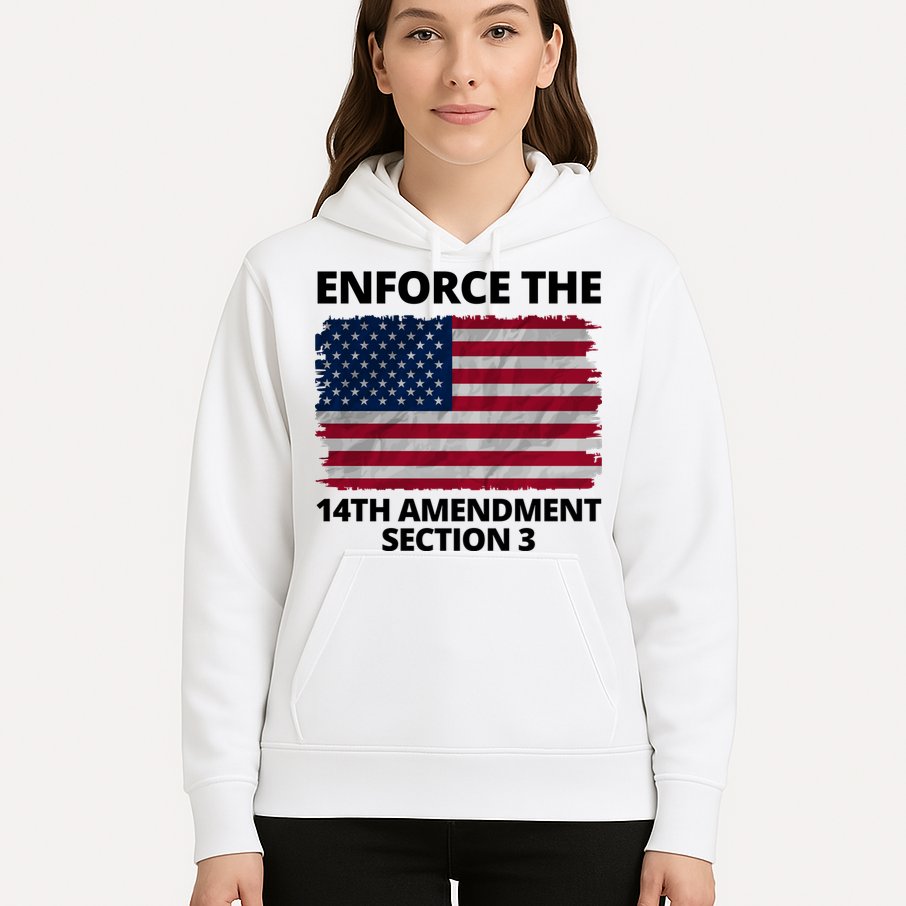 Enforce The 14th Amendment Section 3 Hoodie