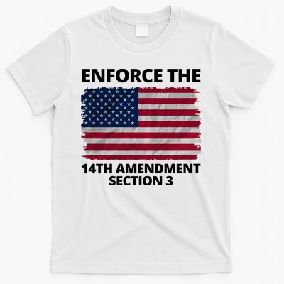 Enforce The 14th Amendment Section 3 T-Shirt
