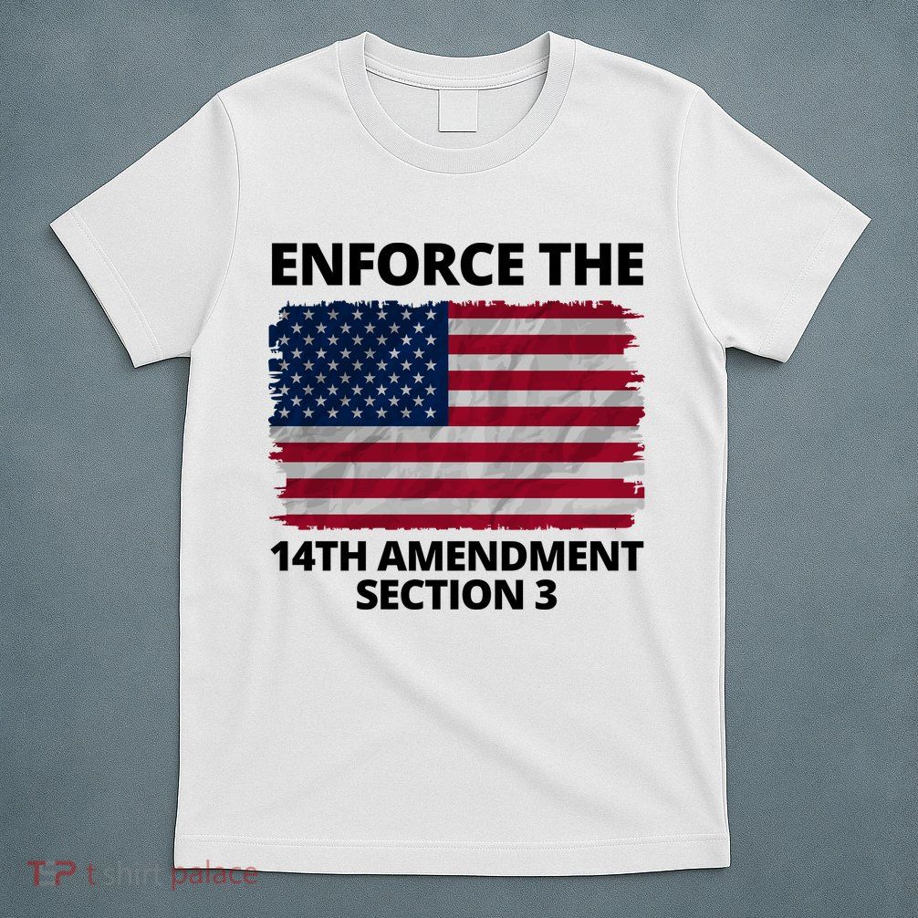 Enforce The 14th Amendment Section 3 T-Shirt