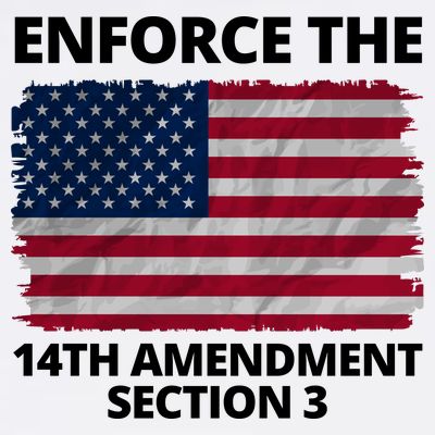 Enforce The 14th Amendment Section 3 T-Shirt