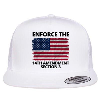 Enforce The 14th Amendment Section 3 Flatbill Hat