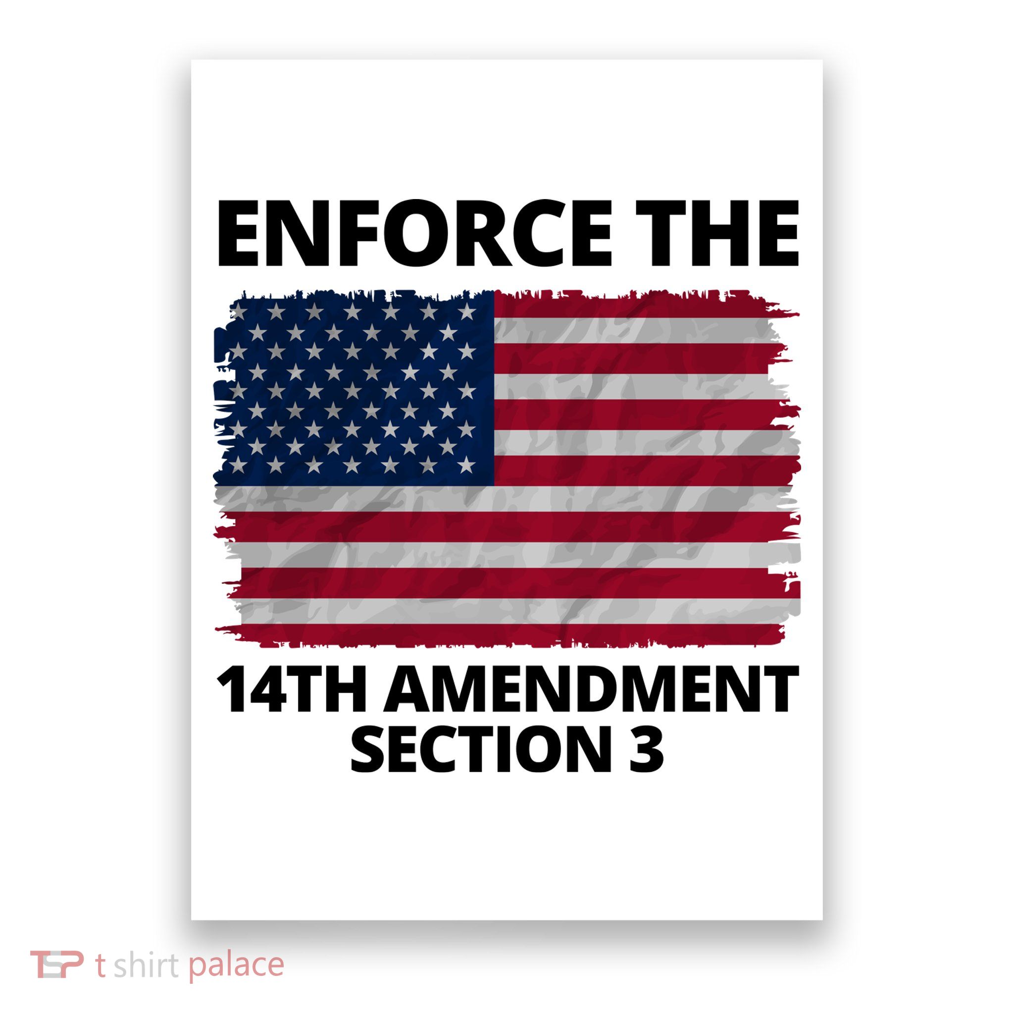 Enforce The 14th Amendment Section 3 Poster