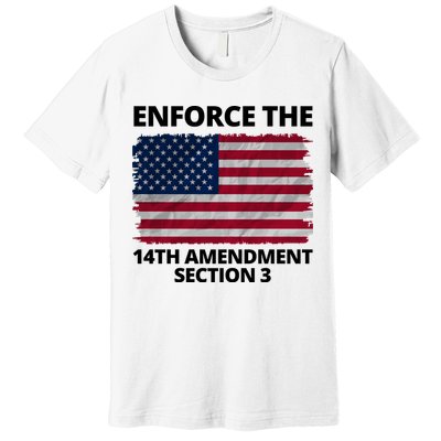 Enforce The 14th Amendment Section 3 Premium T-Shirt