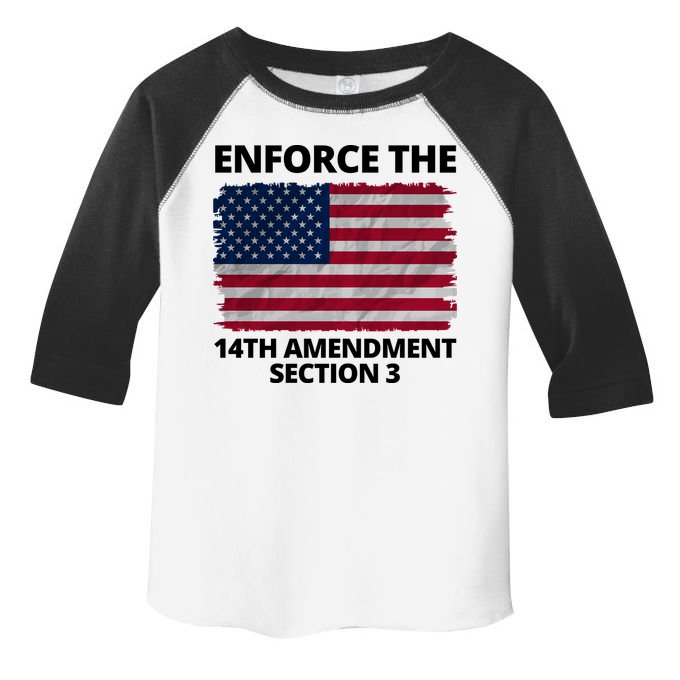 Enforce The 14th Amendment Section 3 Toddler Fine Jersey T-Shirt