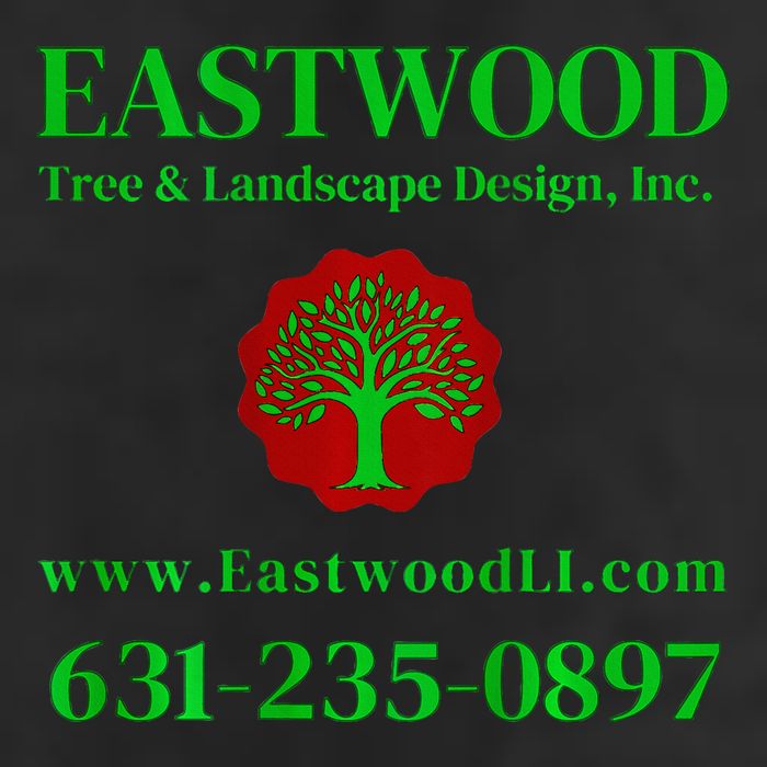 Eastwood Tree And Landscape 11oz C Handle Ceramic Mug