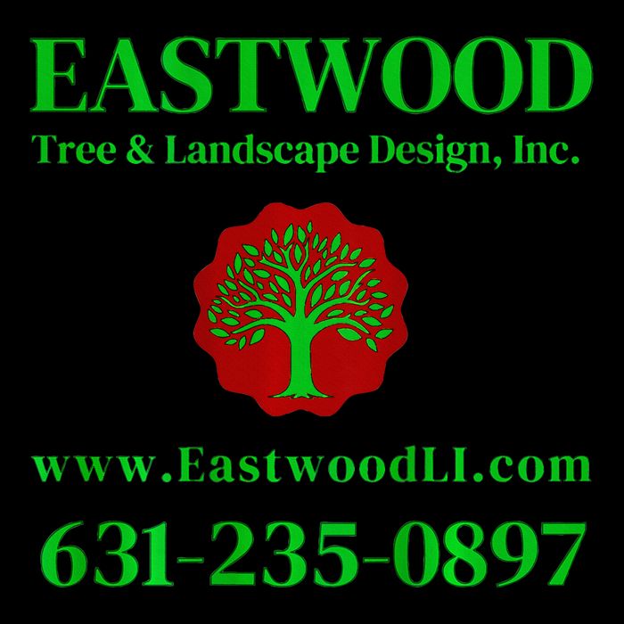 Eastwood Tree And Landscape Drawstring Bag