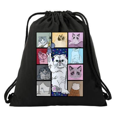 Eras Tour Cat Version TS Lover Gift Idea For Lover Fan Drawstring Bag