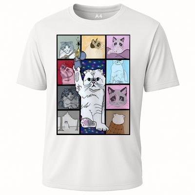 Eras Tour Cat Version TS Lover Gift Idea For Lover Fan Performance Shirt