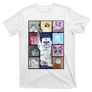 Eras Tour Cat Version TS Lover Gift Idea For Lover Fan T-Shirt