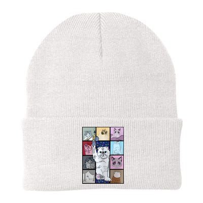 Eras Tour Cat Version TS Lover Gift Idea For Lover Fan Beanie