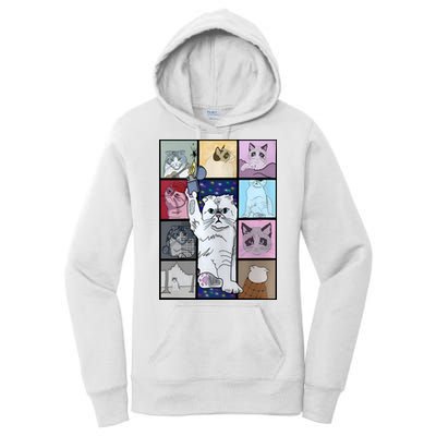 Eras Tour Cat Version TS Lover Gift Idea For Lover Fan Women's Pullover Hoodie