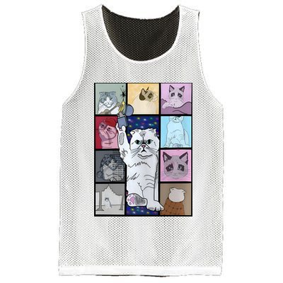 Eras Tour Cat Version TS Lover Gift Idea For Lover Fan Mesh Reversible Basketball Jersey Tank
