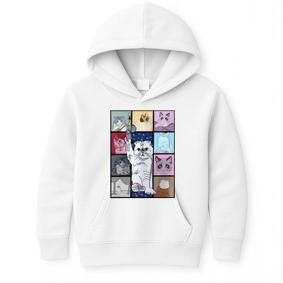Eras Tour Cat Version TS Lover Gift Idea For Lover Fan Kids Hoodie
