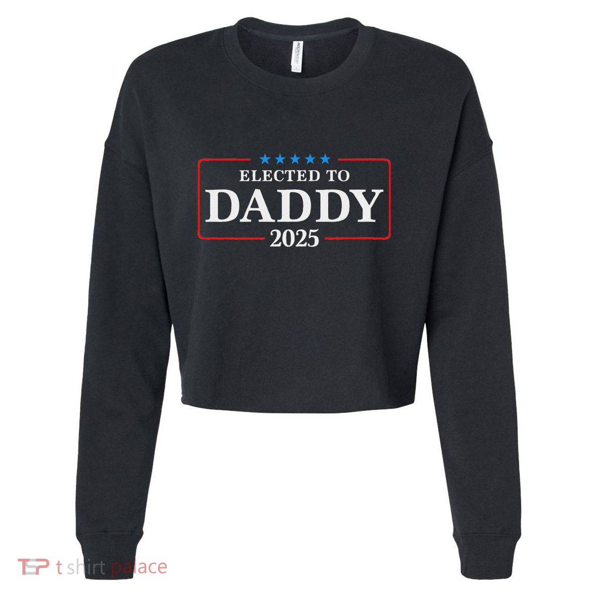 Elected To Daddy Est 2025 Funny New Dad & New Papa 2025 Cropped Pullover Crew