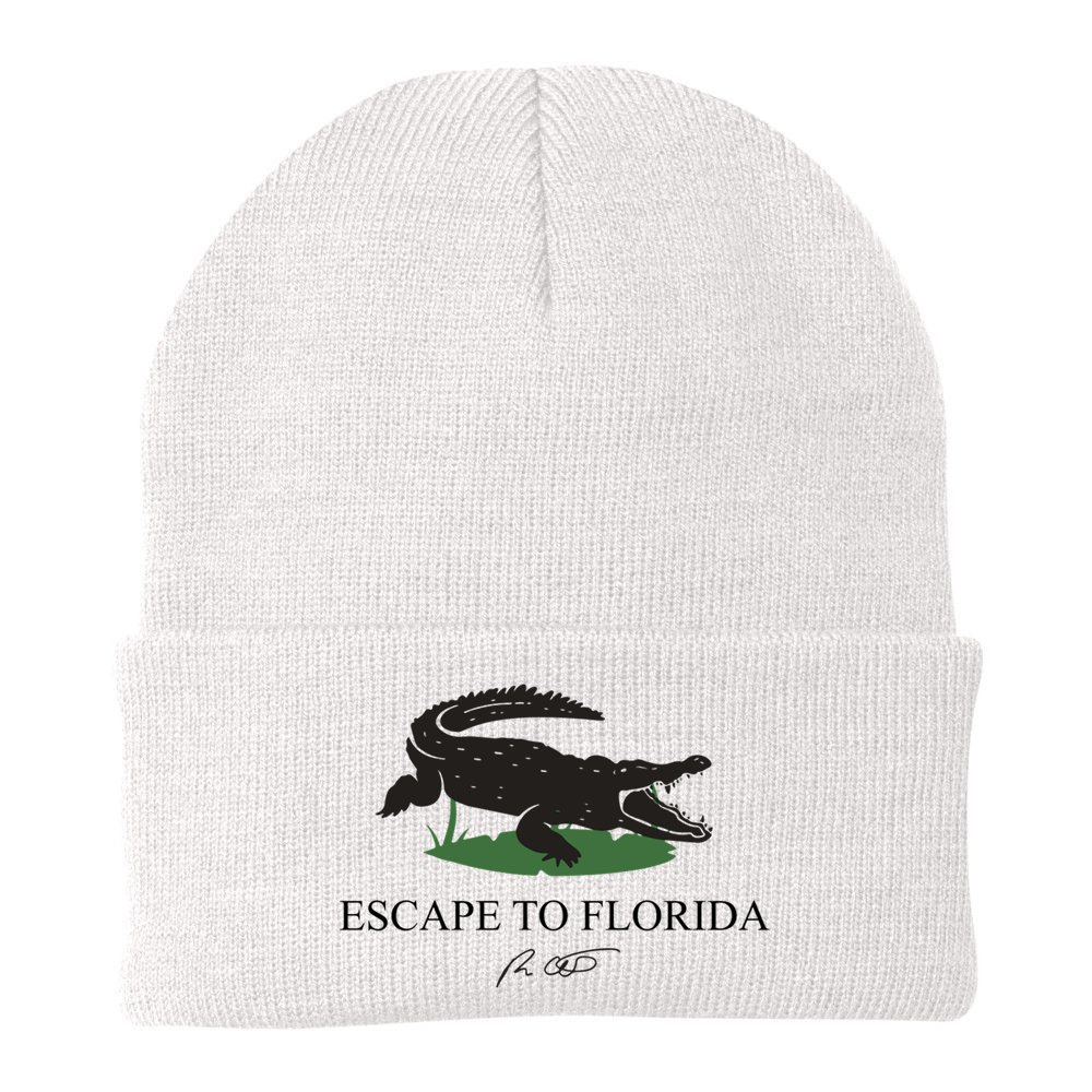 Escape To Florida Ron Desantis Us Flag Vintage Funny Beanie
