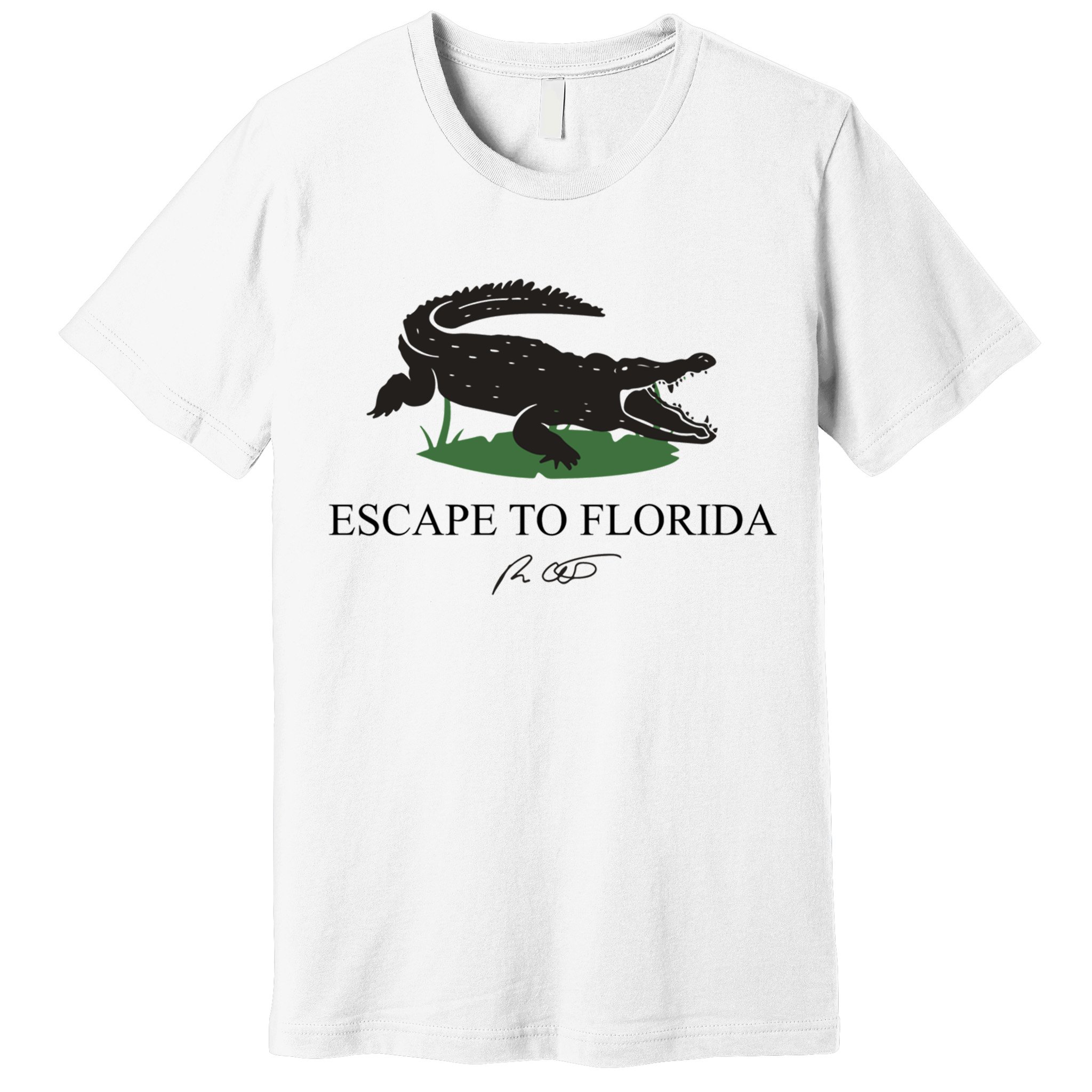 Escape To Florida Ron Desantis Us Flag Vintage Funny Premium T-Shirt