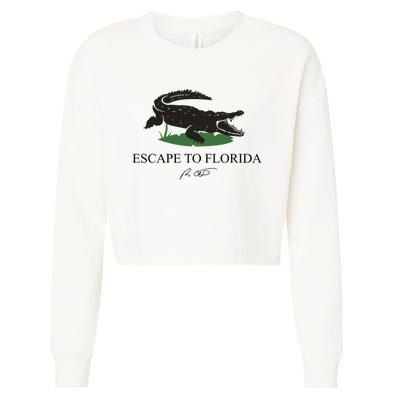 Escape To Florida Ron Desantis Us Flag Vintage Funny Cropped Pullover Crew