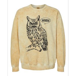 English Teacher Grammar Gift Who Whom Owl Cute Bird Colorblast Crewneck Sweatshirt