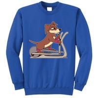 Elliptical Trainer Gym Dog Lover Cool Gift Sweatshirt