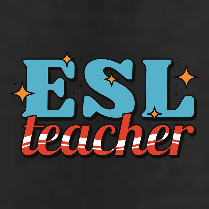 ESL Teacher Gift 7 Panel Mesh Trucker Snapback Hat