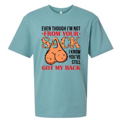 Even Though I Am Not From Your Sack Funny Step Father Sueded Cloud Jersey T-Shirt