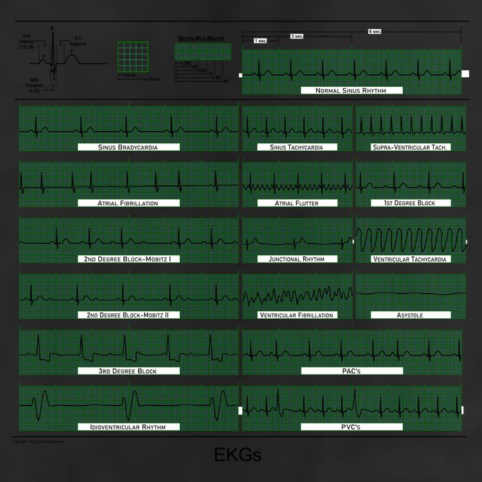 EKG Training Mug 7 Panel Mesh Trucker Snapback Hat