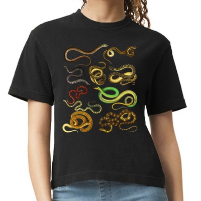 Educational Types Of Snake Gift Comfort Colors Boxy T-Shirt