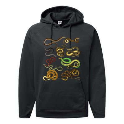 Educational Types Of Snake Gift Performance Fleece Hoodie