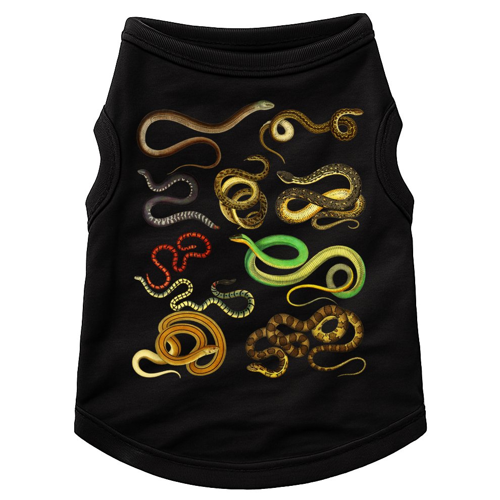 Educational Types Of Snake Gift Doggie Tank