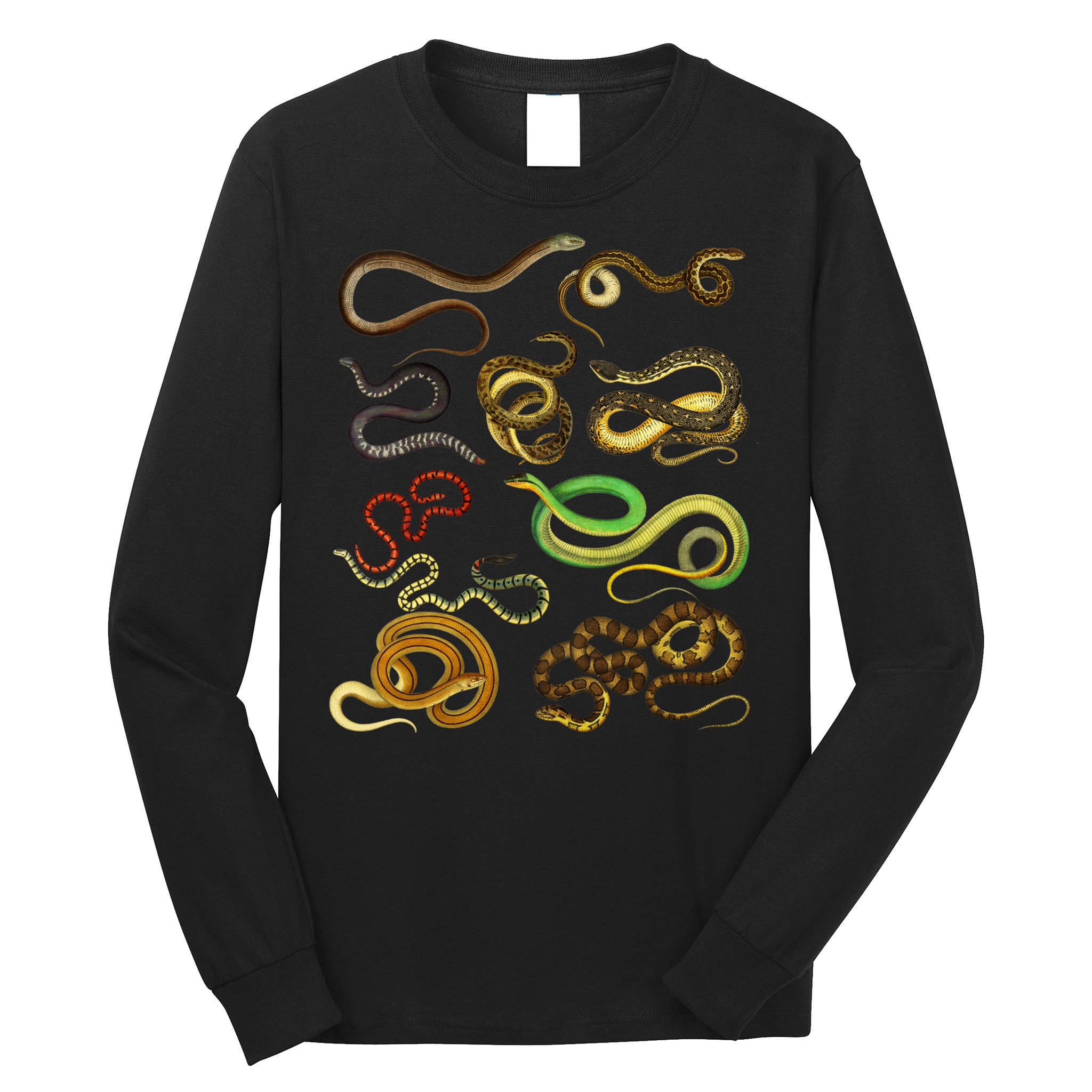 Educational Types Of Snake Gift Long Sleeve Shirt
