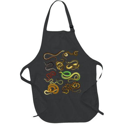 Educational Types Of Snake Gift Apron