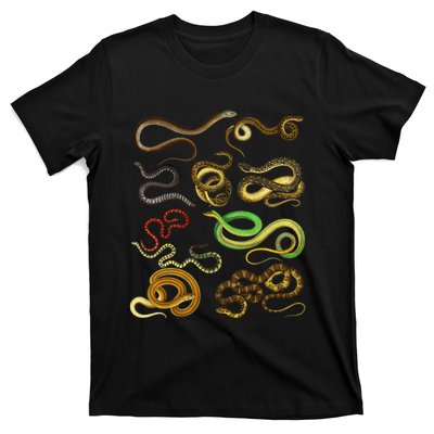 Educational Types Of Snake Gift T-Shirt