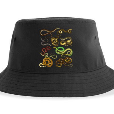 Educational Types Of Snake Gift Sustainable Bucket Hat