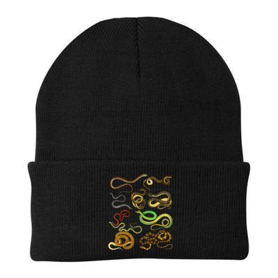 Educational Types Of Snake Gift Beanie