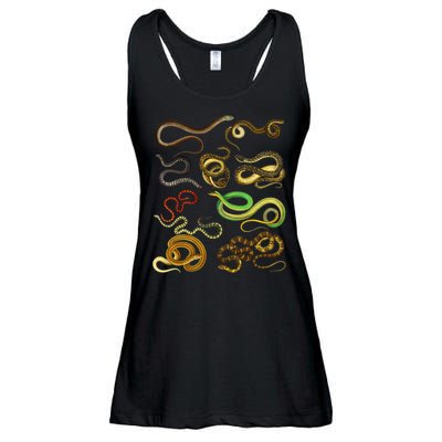 Educational Types Of Snake Gift Ladies Essential Flowy Tank