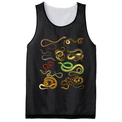 Educational Types Of Snake Gift Mesh Reversible Basketball Jersey Tank
