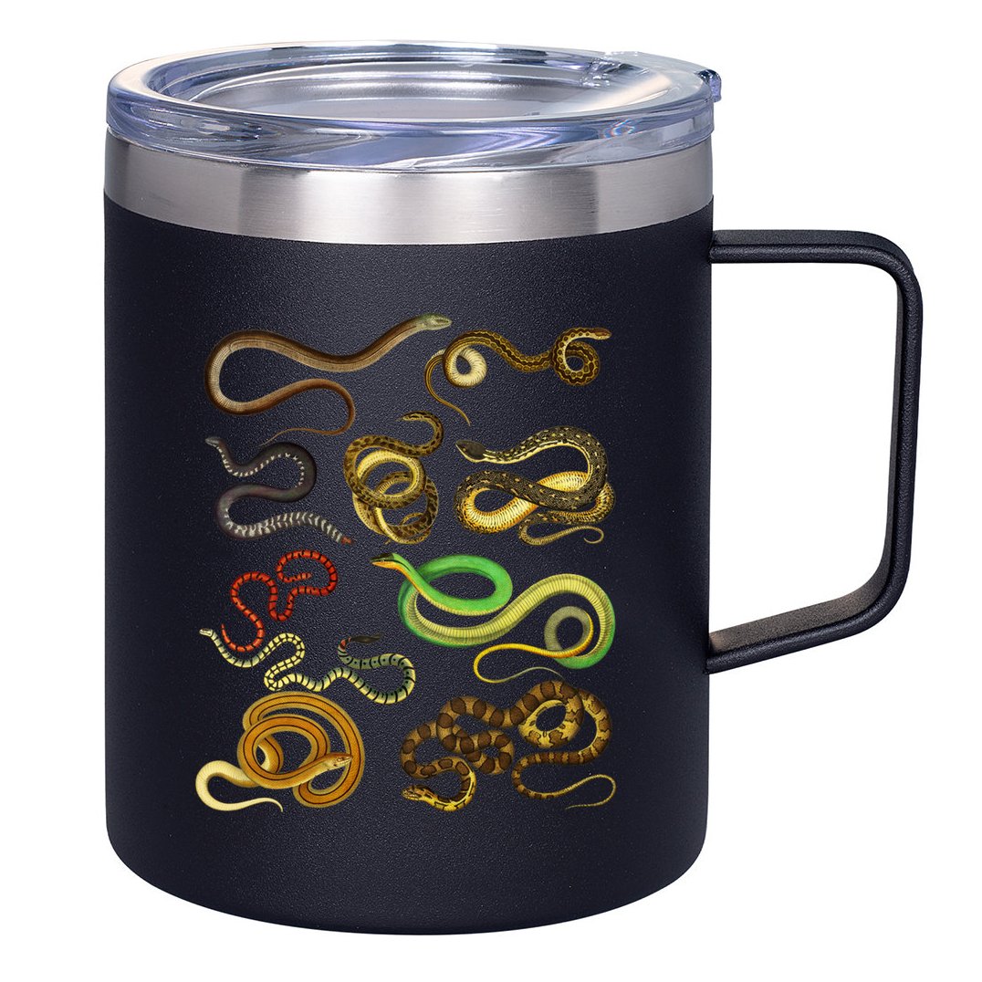 Educational Types Of Snake Gift 12oz Stainless Steel Coffee Mug