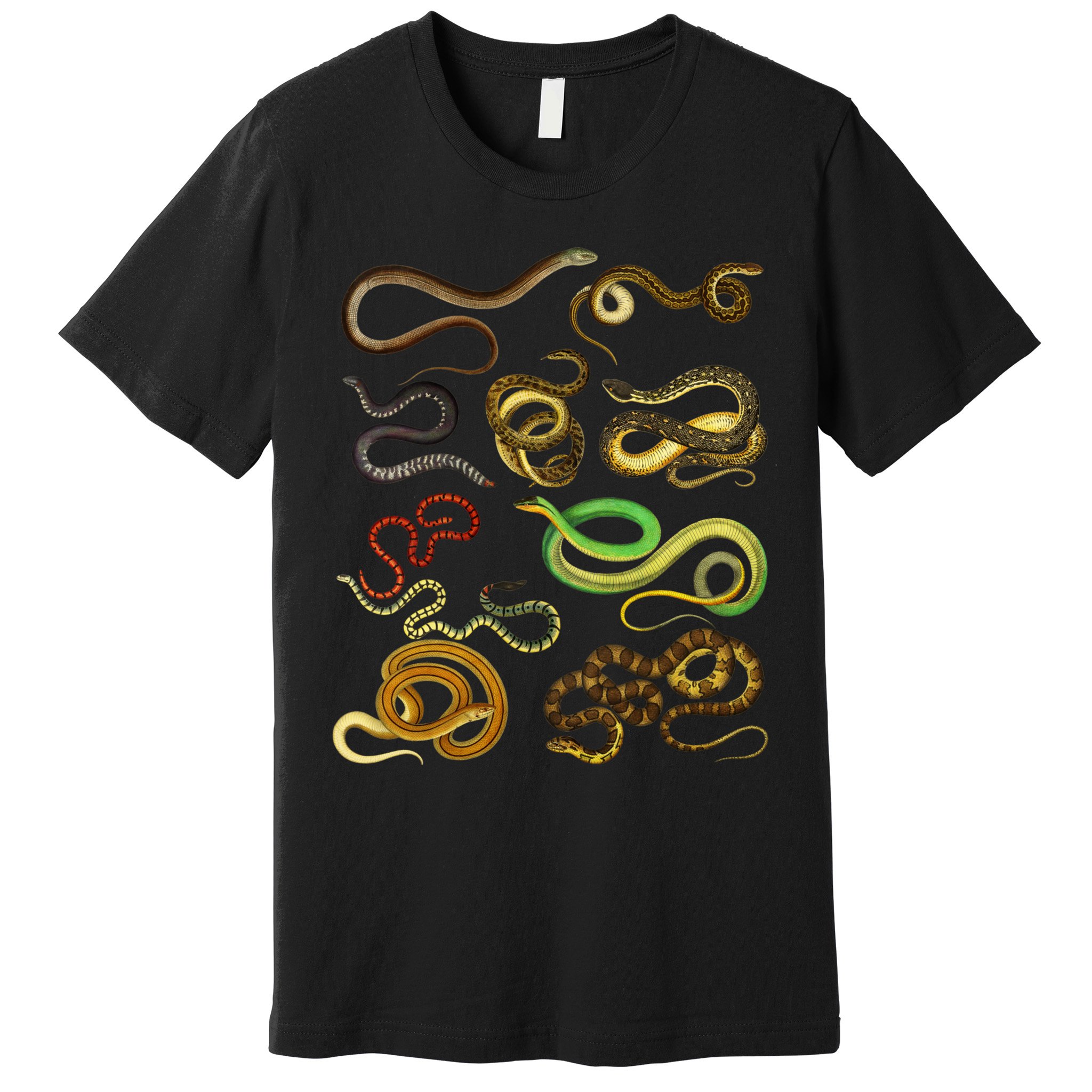 Educational Types Of Snake Gift Premium T-Shirt