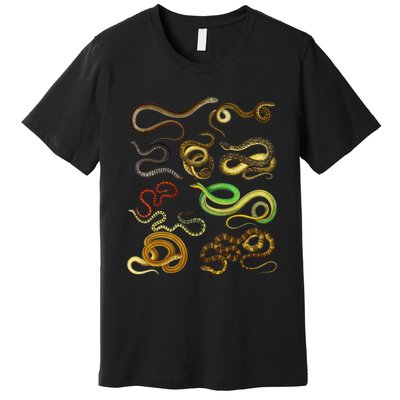 Educational Types Of Snake Gift Premium T-Shirt