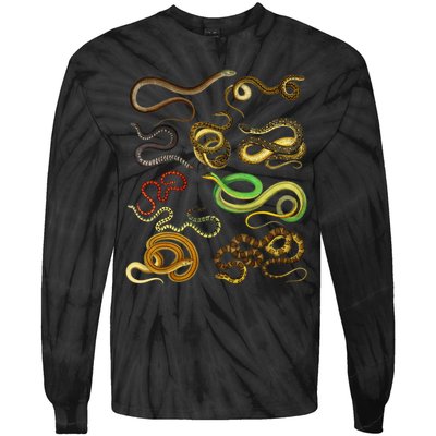 Educational Types Of Snake Gift Tie-Dye Long Sleeve Shirt