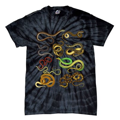 Educational Types Of Snake Gift Tie-Dye T-Shirt