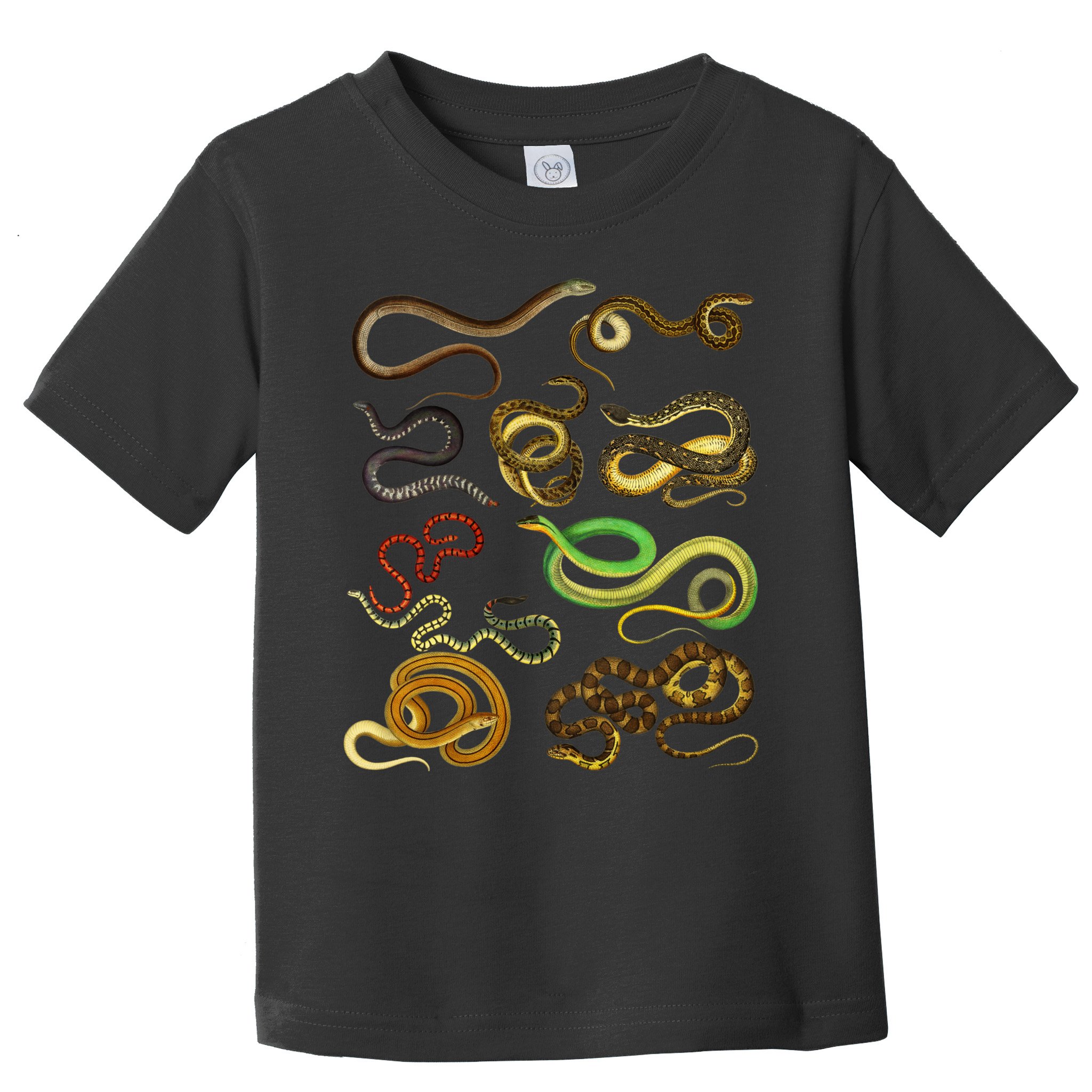 Educational Types Of Snake Gift Toddler T-Shirt